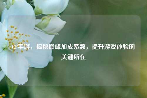 CF手游,揭秘巅峰加成系数,提升游戏体验的关键所在