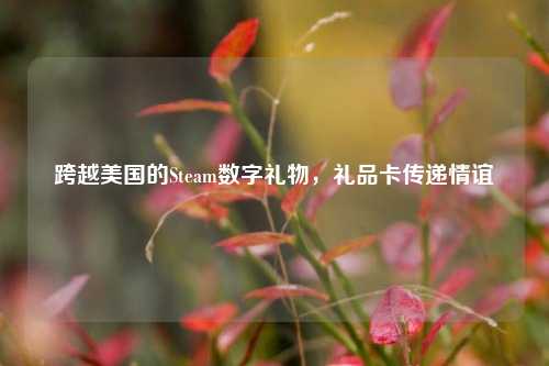 跨越美国的Steam数字礼物,礼品卡传递情谊