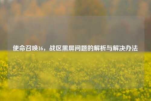 使命召唤16,战区黑屏问题的解析与解决办法