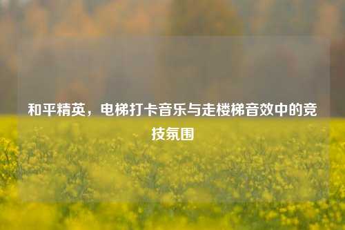 和平精英,电梯打卡音乐与走楼梯音效中的竞技氛围