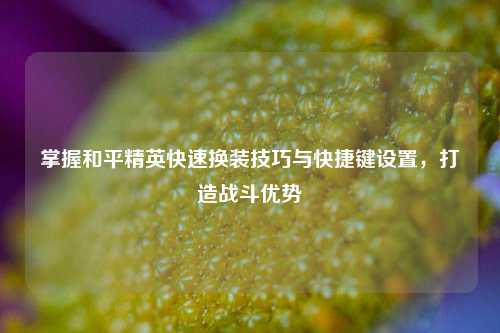掌握和平精英快速换装技巧与快捷键设置,打造战斗优势