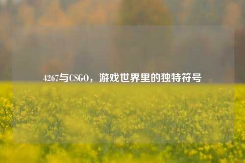 4267与CSGO,游戏世界里的独特符号