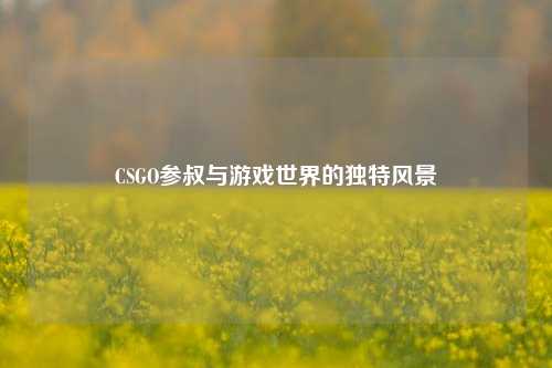 CSGO参叔与游戏世界的独特风景