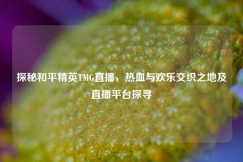探秘和平精英TMG直播,热血与欢乐交织之地及直播平台探寻
