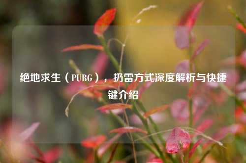 绝地求生(PUBG),扔雷方式深度解析与快捷键介绍