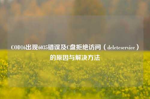 COD16出现6035错误及C盘拒绝访问(deleteservice)的原因与解决