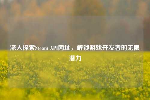 深入探索Steam API网址,解锁游戏开发者的无限潜力