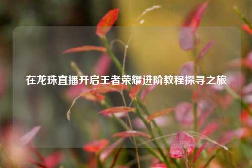 在龙珠直播开启王者荣耀进阶教程探寻之旅