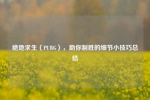绝地求生(PUBG),助你制胜的细节小技巧总结