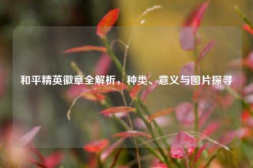 和平精英徽章全解析,种类、意义与图片探寻