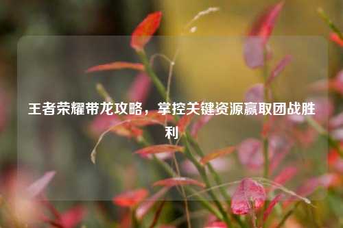 王者荣耀带龙攻略,掌控关键资源赢取团战胜利