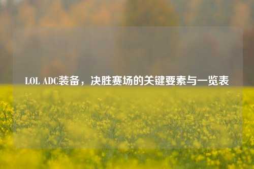 LOL ADC装备,决胜赛场的关键要素与一览表