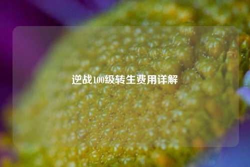 逆战100级转生费用详解