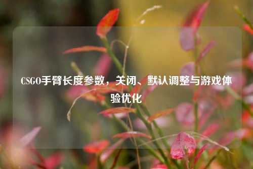 CSGO手臂长度参数,关闭、默认调整与游戏体验优化