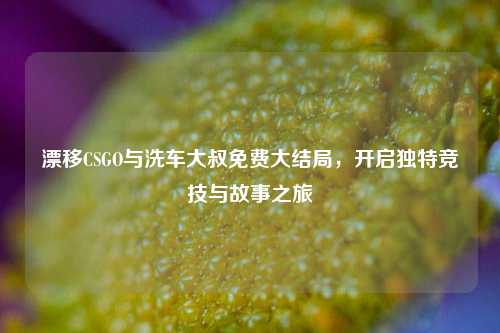 漂移CSGO与洗车大叔免费大结局,开启独特竞技与故事之旅