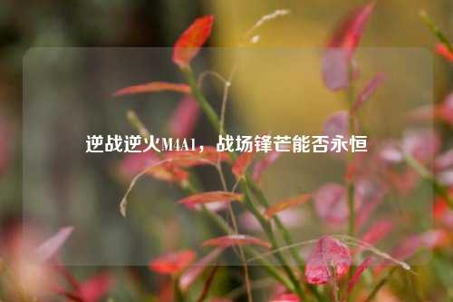 逆战逆火M4A1,战场锋芒能否永恒