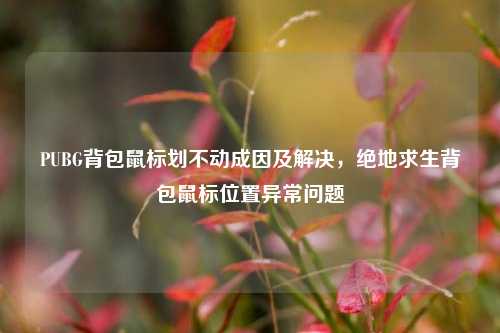 PUBG背包鼠标划不动成因及解决,绝地求生背包鼠标位置异常问题