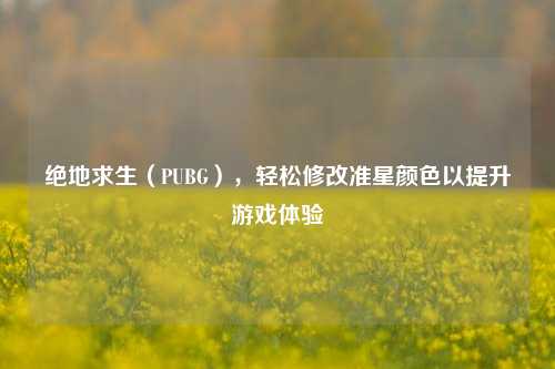 绝地求生(PUBG),轻松修改准星颜色以提升游戏体验
