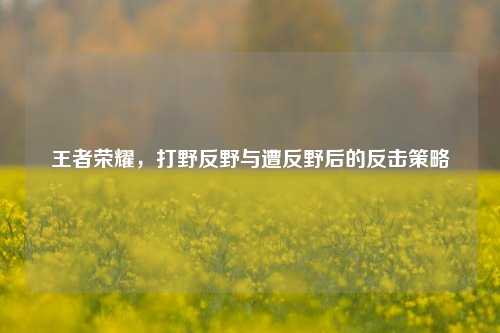 王者荣耀,打野反野与遭反野后的反击策略