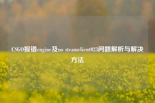 CSGO报错engine及no steamclient023问题解析与解决