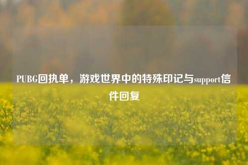 PUBG回执单,游戏世界中的特殊印记与support信件回复