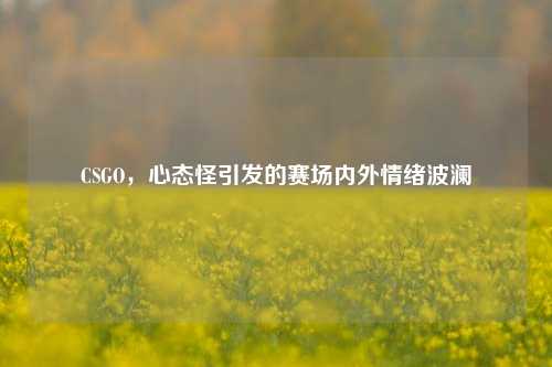 CSGO,心态怪引发的赛场内外情绪波澜