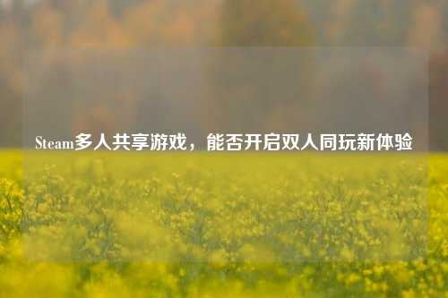 Steam多人共享游戏,能否开启双人同玩新体验