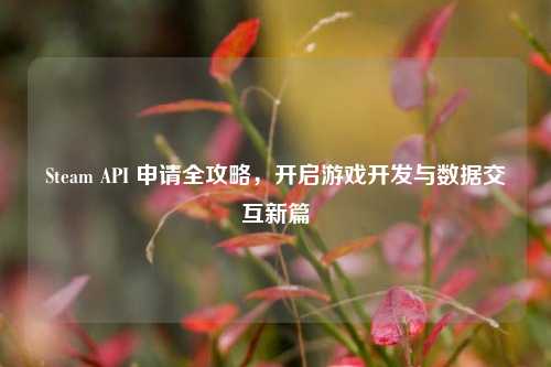 Steam API 申请全攻略,开启游戏开发与数据交互新篇