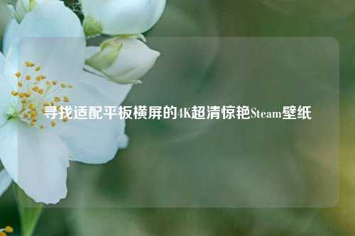寻找适配平板横屏的4K超清惊艳Steam壁纸