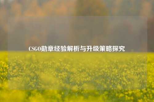 CSGO勋章经验解析与升级策略探究