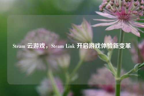 Steam 云游戏,Steam Link 开启游戏体验新变革