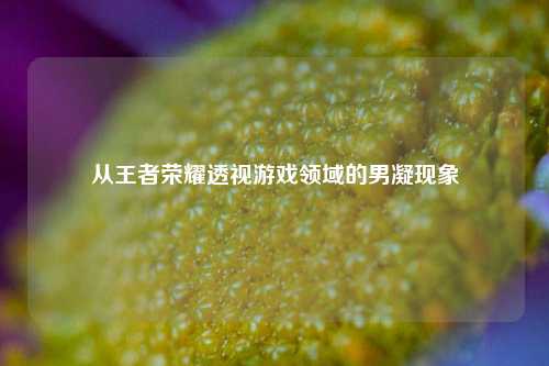 从王者荣耀透视游戏领域的男凝现象