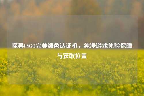 探寻CSGO完美绿色认证机,纯净游戏体验保障与获取位置
