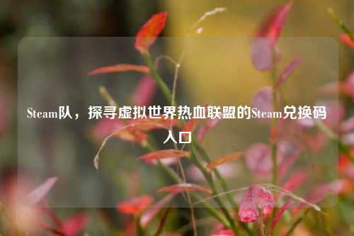 Steam队,探寻虚拟世界热血联盟的Steam兑换码入口