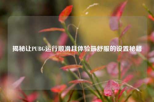揭秘让PUBG运行顺滑且体验最舒服的设置秘籍