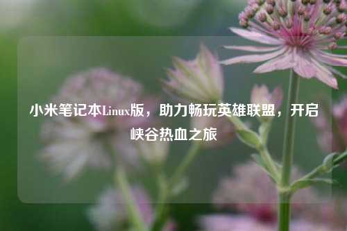小米笔记本Linux版,助力畅玩英雄联盟,开启峡谷热血之旅