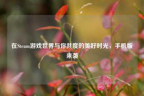 在Steam游戏世界与你共度的美好时光,手机版来袭