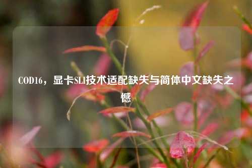 COD16,显卡SLI技术适配缺失与简体中文缺失之憾