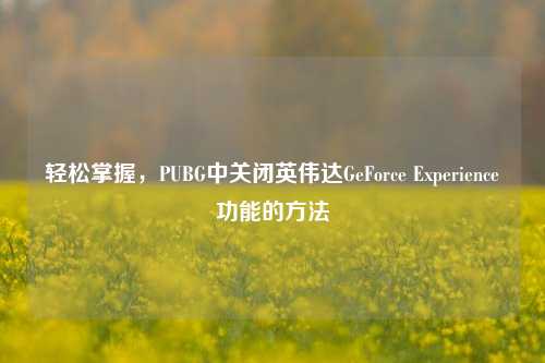 轻松掌握,PUBG中关闭英伟达GeForce Experience功能的