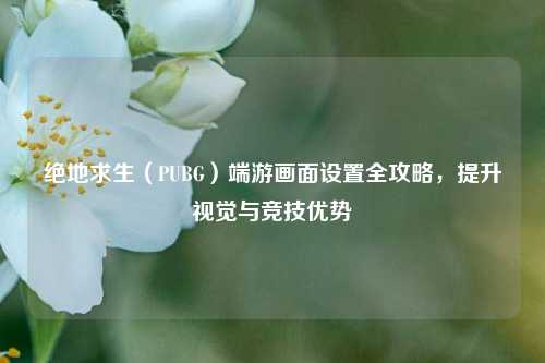 绝地求生(PUBG)端游画面设置全攻略,提升视觉与竞技优势