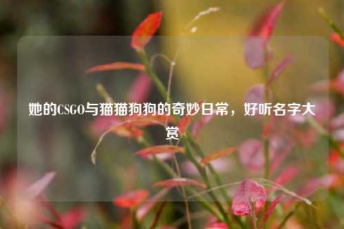 她的CSGO与猫猫狗狗的奇妙日常,好听名字大赏