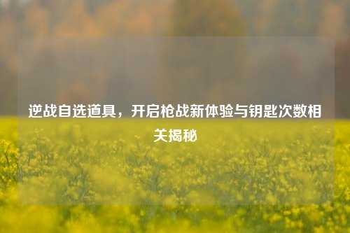 逆战自选道具,开启枪战新体验与钥匙次数相关揭秘
