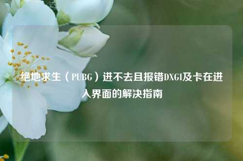 绝地求生(PUBG)进不去且报错DXGI及卡在进入界面的解决指南