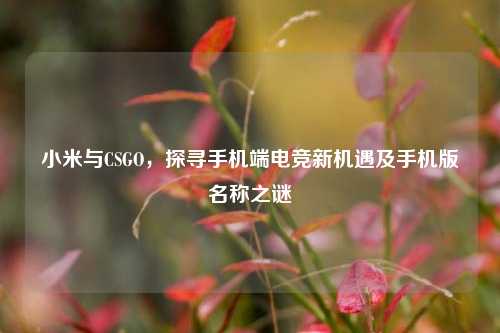 小米与CSGO,探寻手机端电竞新机遇及手机版名称之谜