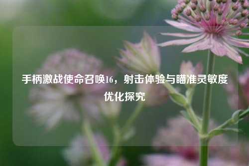 手柄激战使命召唤16,射击体验与瞄准灵敏度优化探究