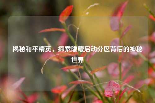 揭秘和平精英,探索隐藏启动分区背后的神秘世界