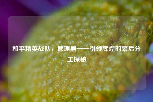 和平精英战队,管理层——引领辉煌的幕后分工探秘