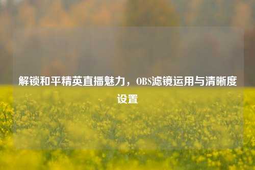 解锁和平精英直播魅力,OBS滤镜运用与清晰度设置