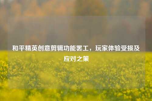 和平精英创意剪辑功能***,玩家体验受损及应对之策