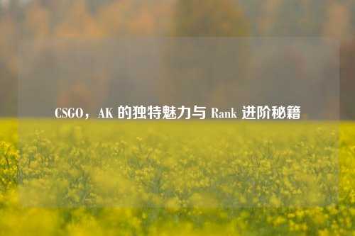 CSGO,AK 的独特魅力与 Rank 进阶秘籍